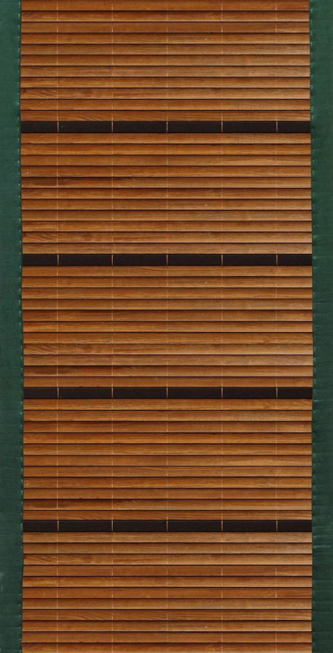 Wood Blind Chick
